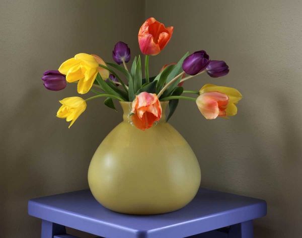 OR, Portland Tulips in antique glass vase